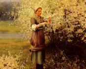 路易斯 阿斯顿 奈特 : Spring Blossoms